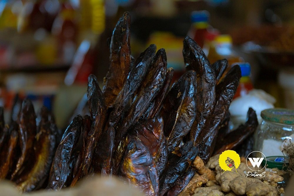 Inside Afrika Store | Web Spectron