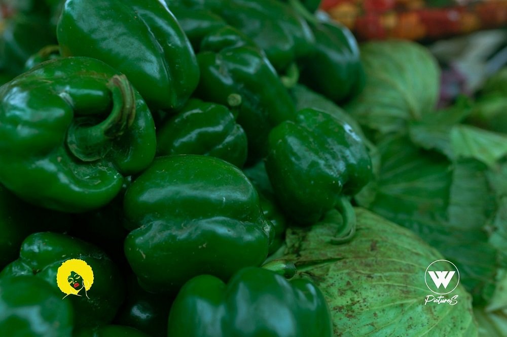 W Pictures Studios | Web Spectron